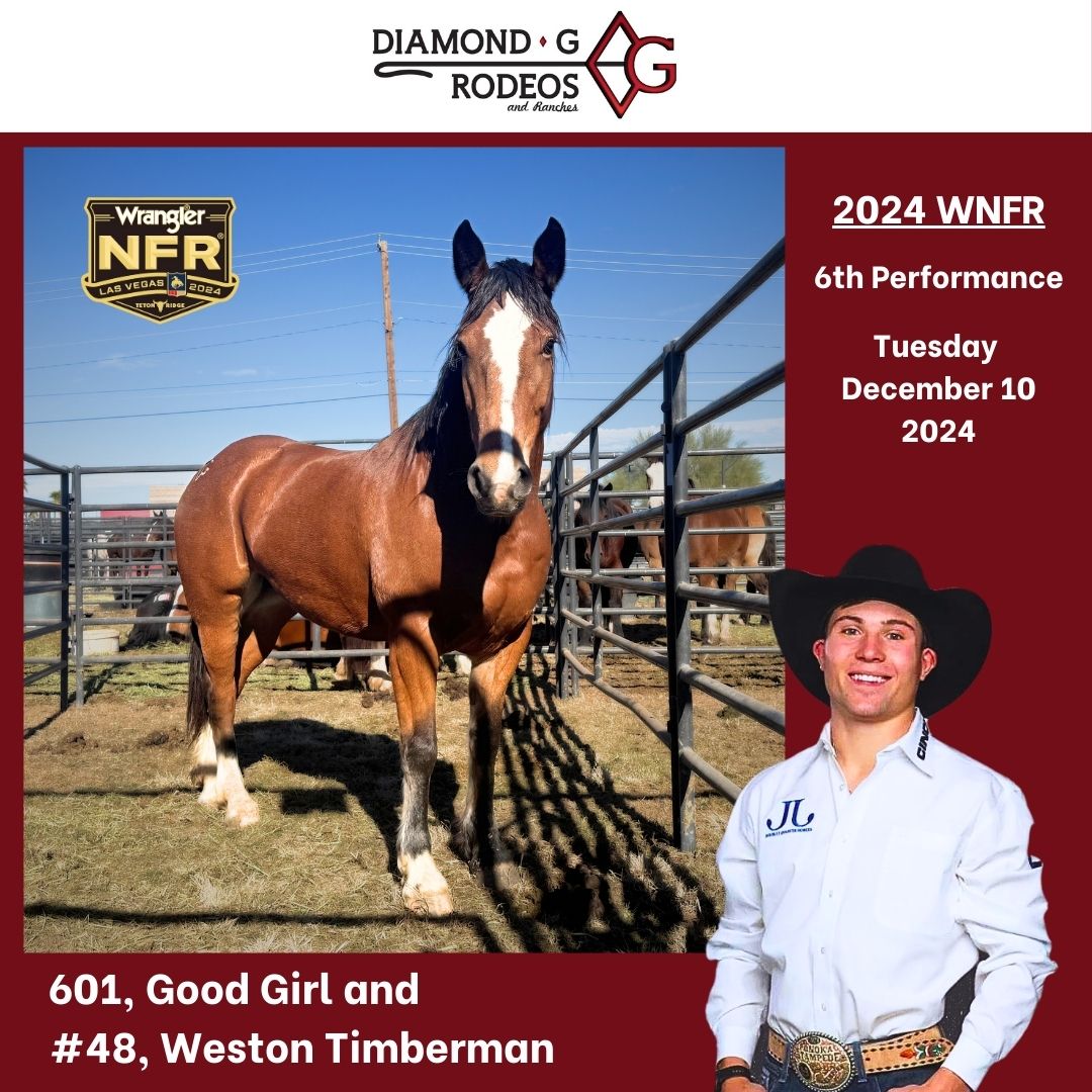 Diamond G Rodeos And Ranches | Toquerville UT