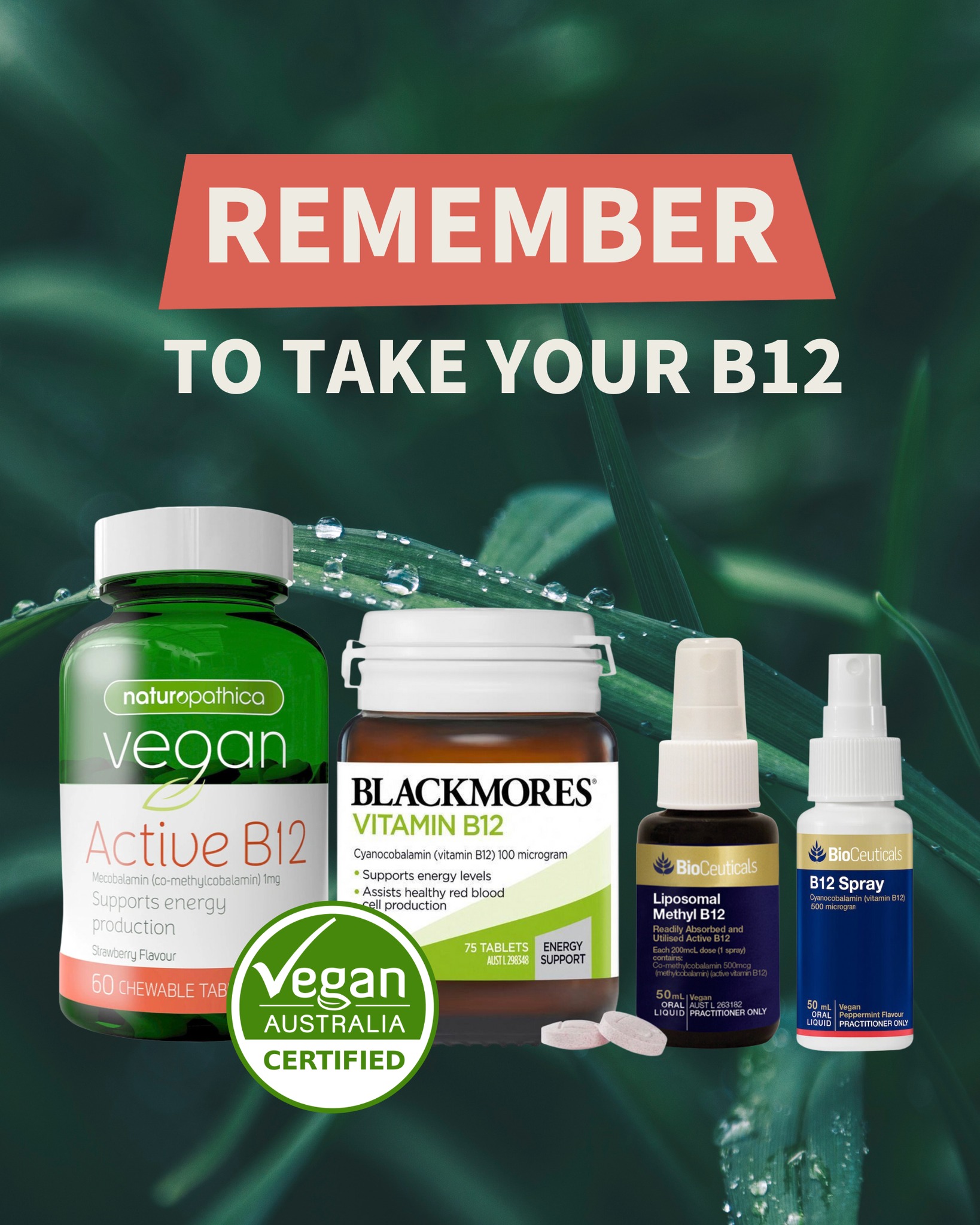 How often to take B12 shots for veganism?