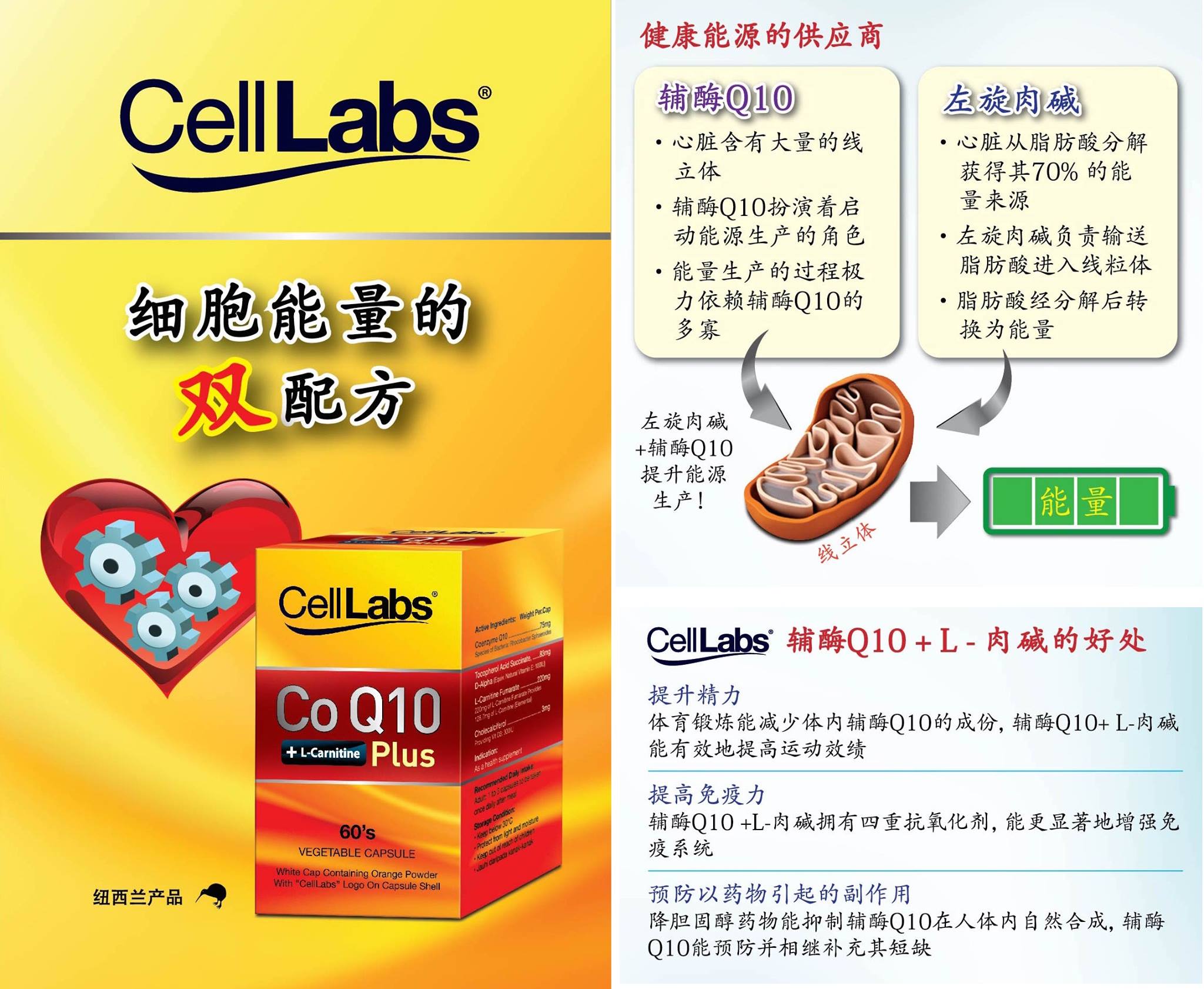 celllabs coq10 l-carnitine plus Flavor - Size:Chocolate 1 lb Apothecary. Apothecary: Vitamins & Supplements Acetyl-L-Carnitine 500mg | PURE