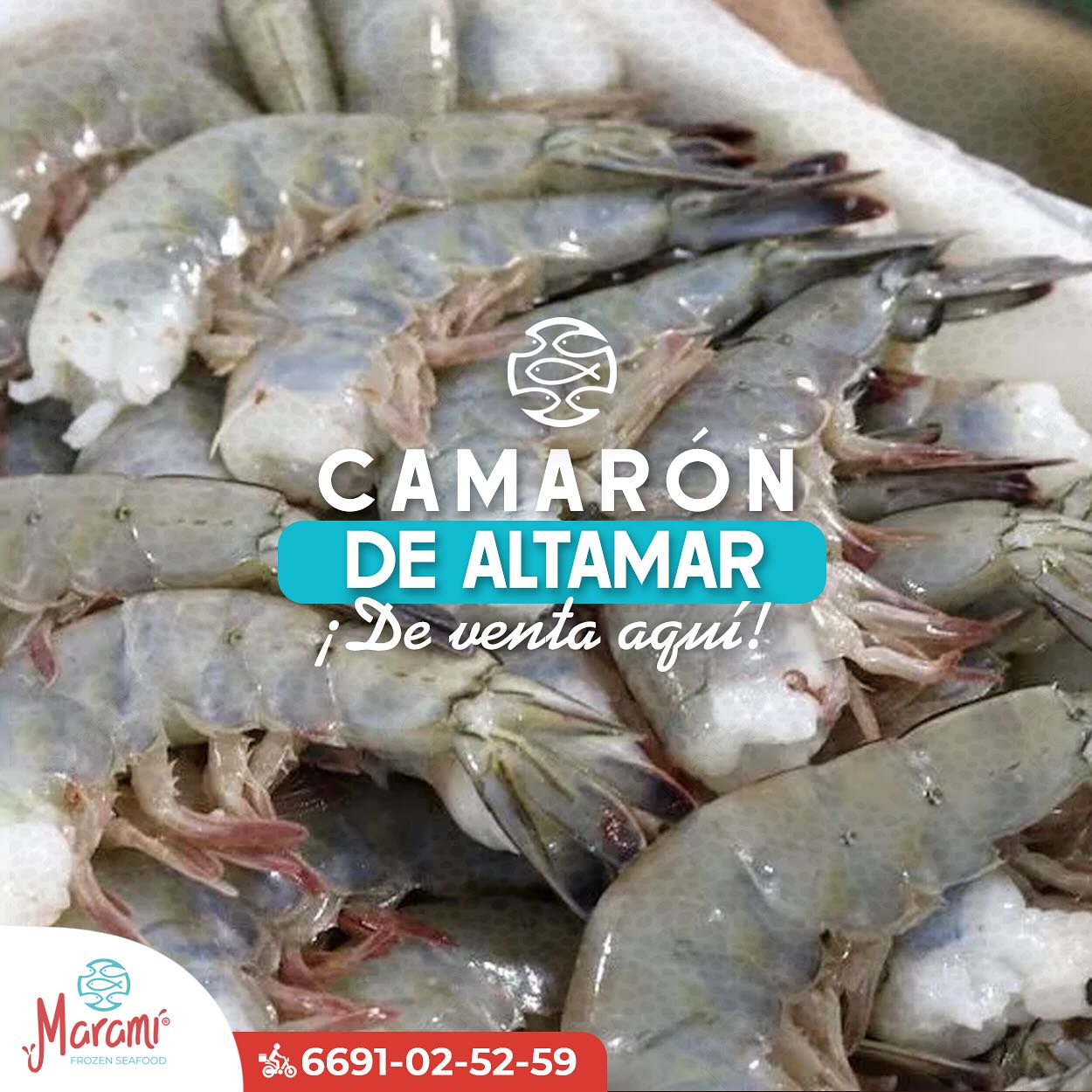 Maramí Seafood Market | Mazatlán
