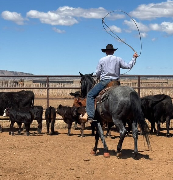 K4 Ranches - K4 Ranches added a new photo — in Prescott, AZ.