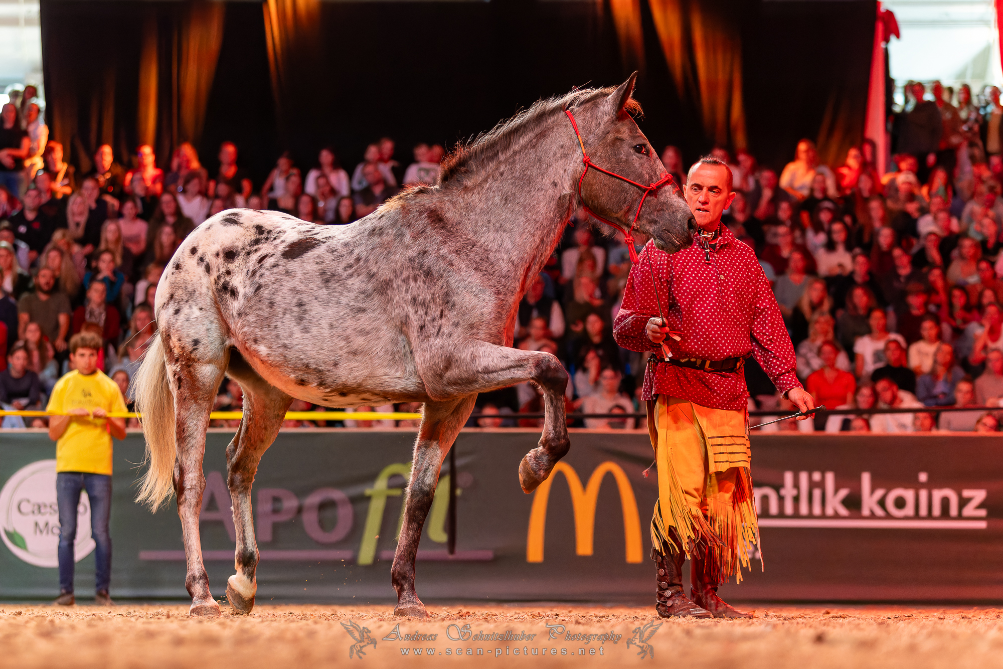 Cooper Ranch - Westernreiten nach Cowboyart bei Nordhausen added a new ...