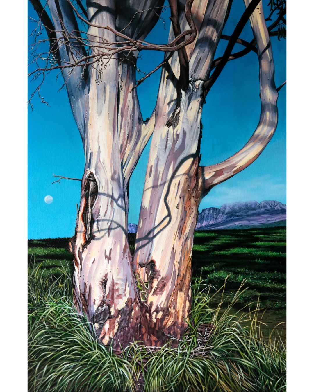 Tasmanian painting 'The Sentinel, near Ben Lomond' finalist in