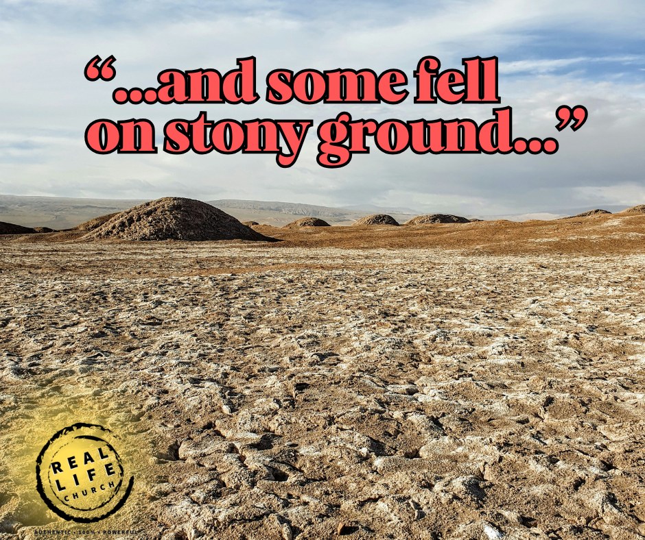 Real - In the parable of the sower, Jesus tells us that some seed was ...