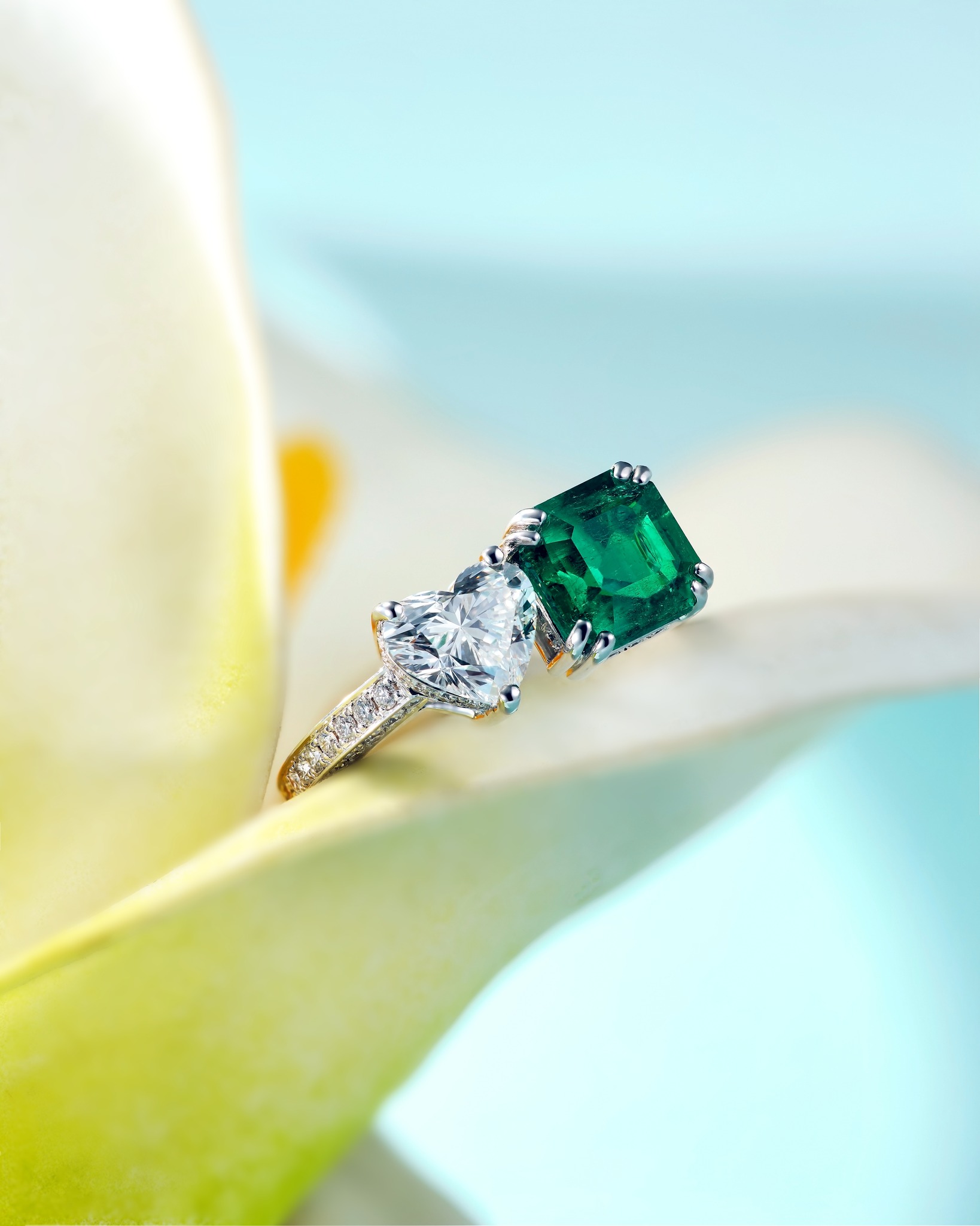 PRIMA - Make every moment with your mother unforgettable with this ...