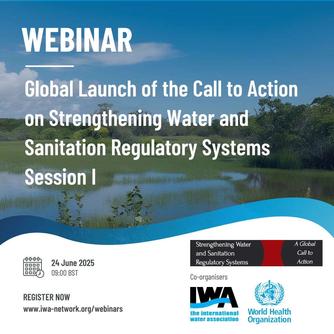 Water and Sanitation for Urban Populations | London