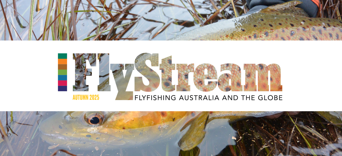 FlyStream