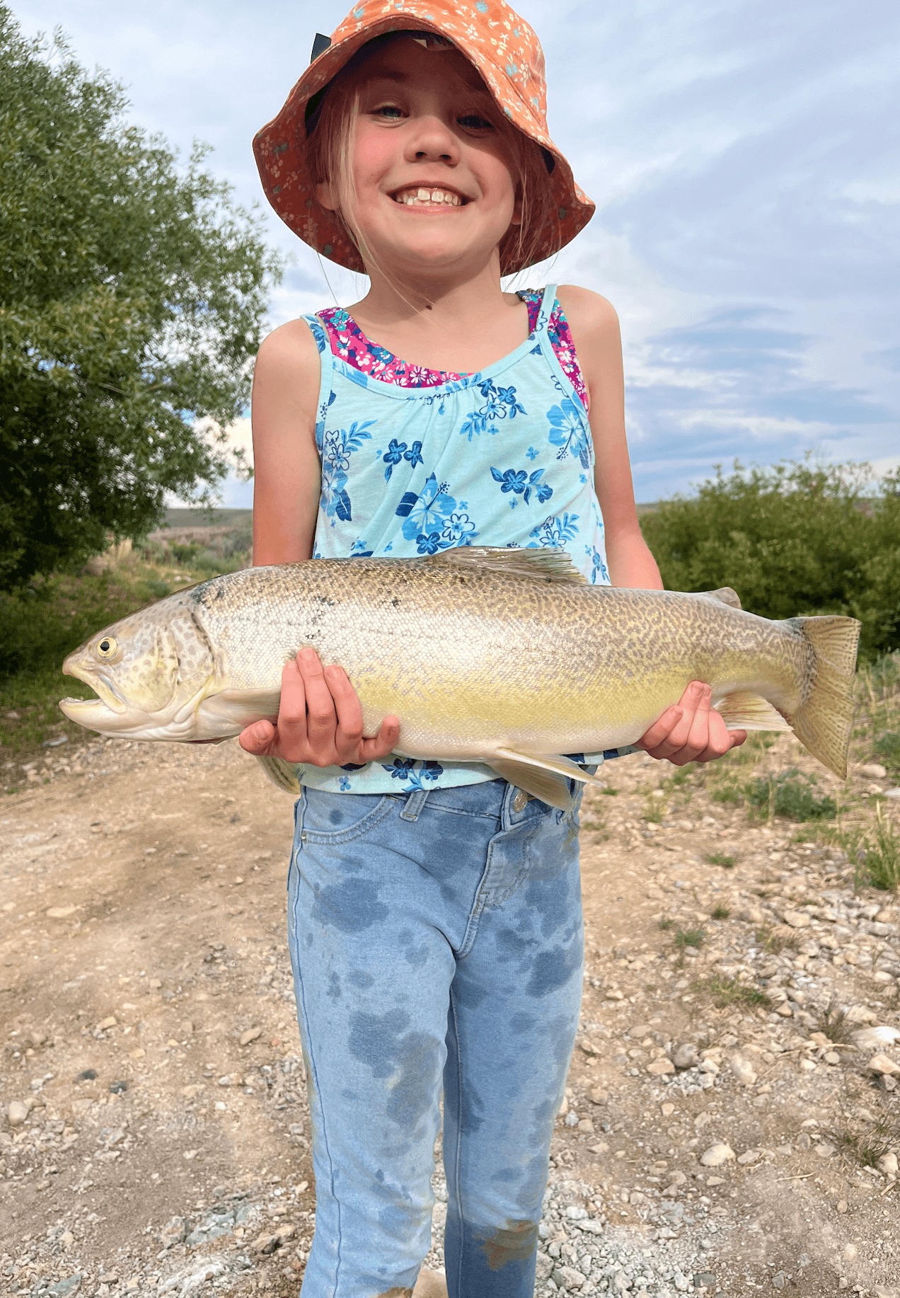 Tiger trout in southeast Wyoming