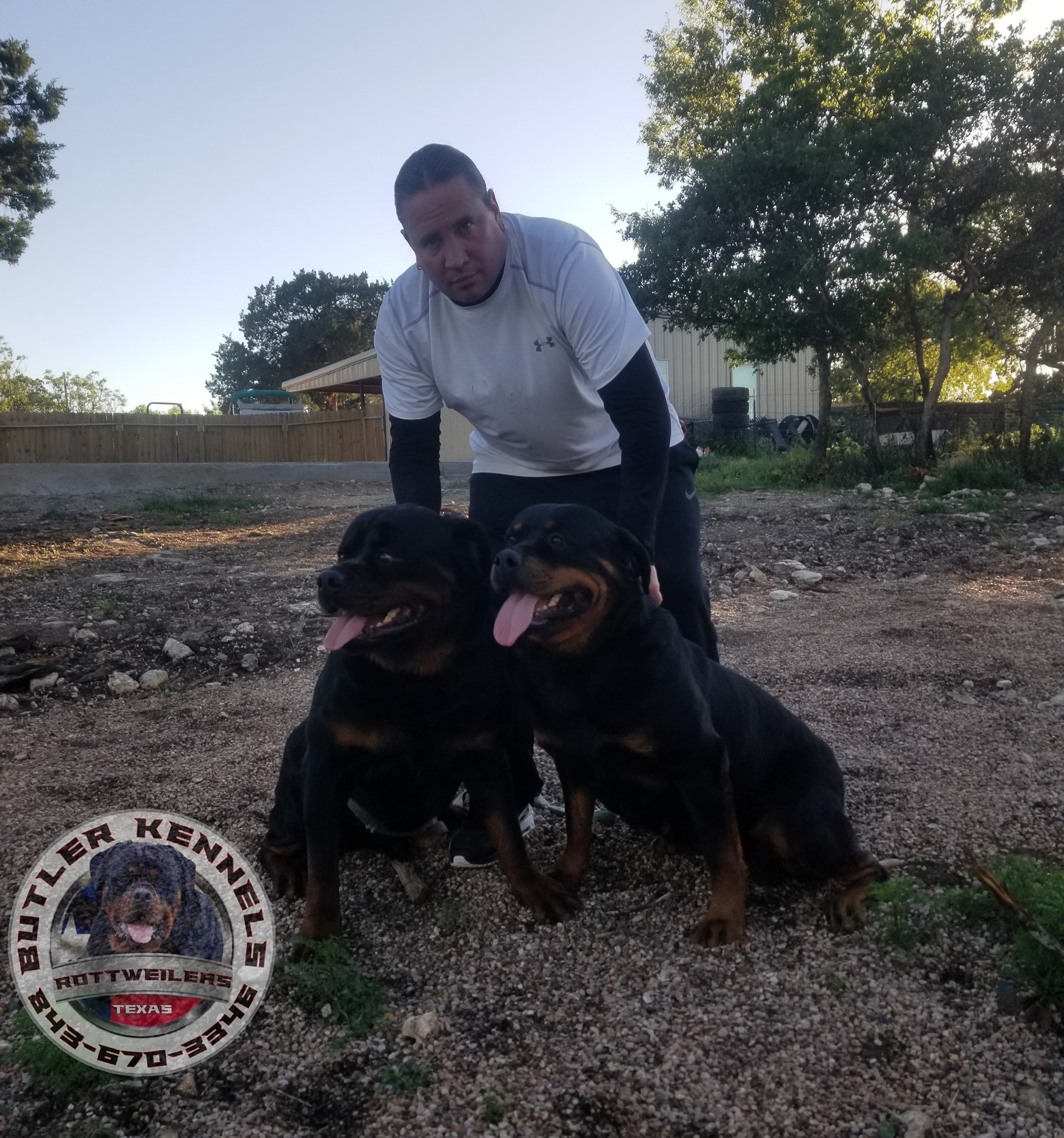 Butler Kennels Rottweilers... - Butler Kennels Rottweilers