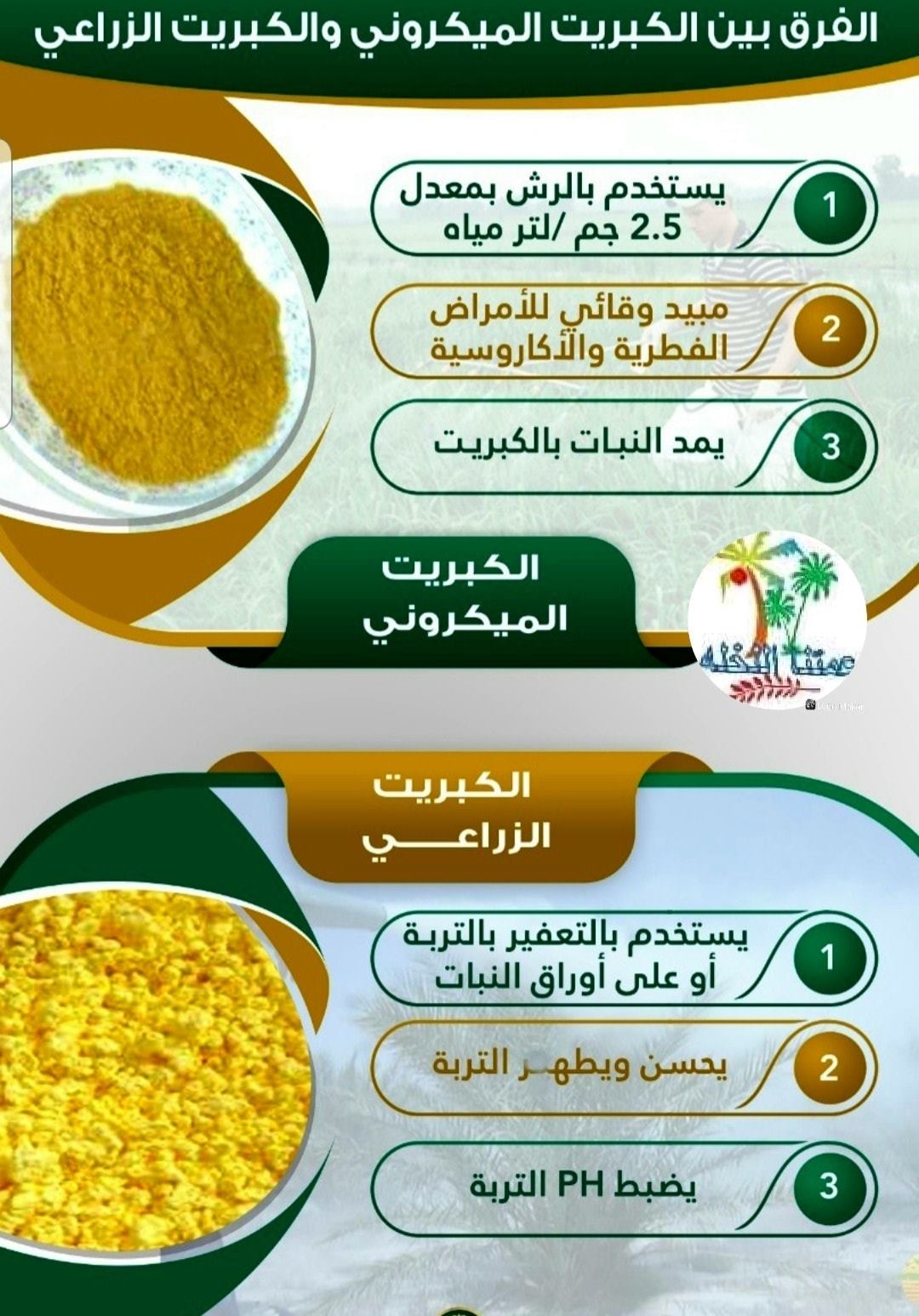 عمتنا النخله الفرق بين الكبريت الزراعي والماكروني Facebook