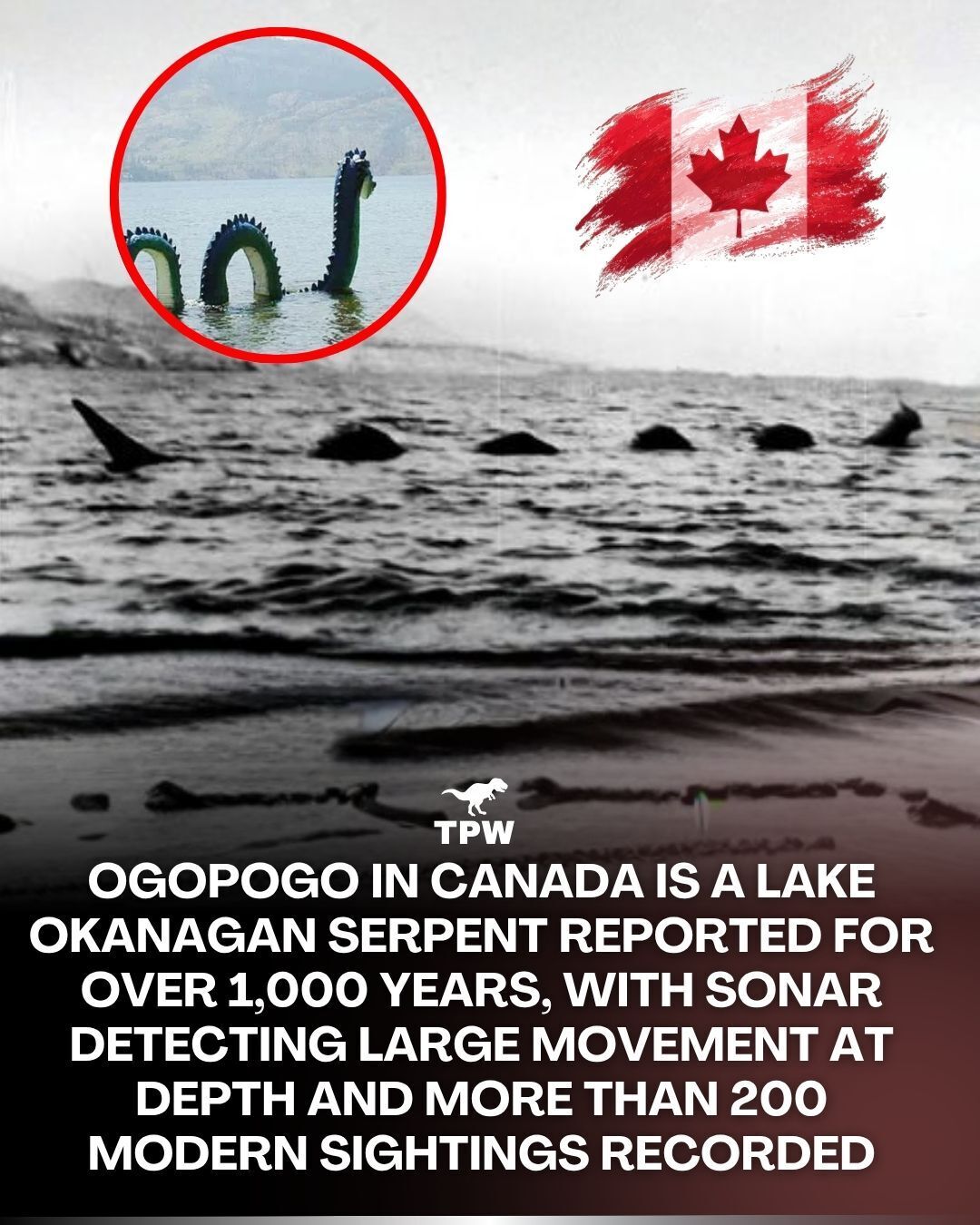 This image of British Columbia's Ogopogo is a still from a video