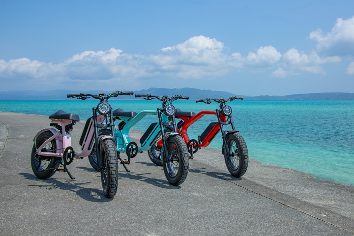 スマホで予約、免許不要！スタイリッシュな電動アシスト自転車(eBike