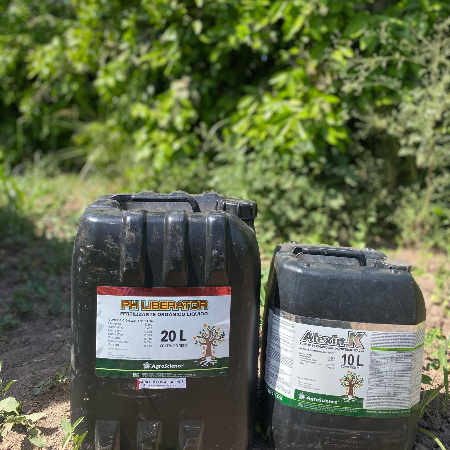 AgroScience - AgroScience added a new photo.