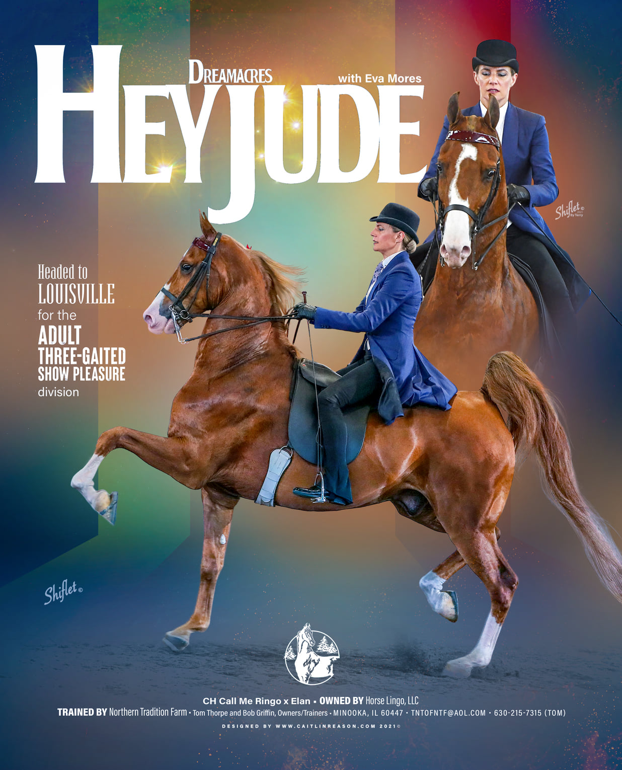 Dreamacres Hey Jude - As featured in Saddle And Bridle... Dreamacres ...
