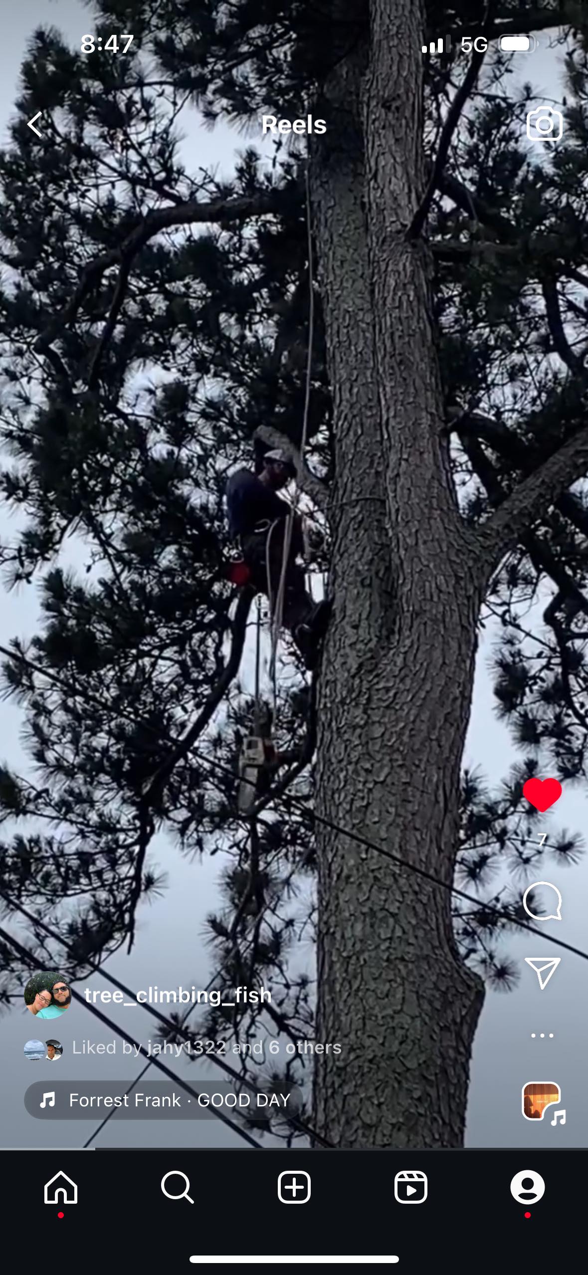 Arbor Master Tree Service | Hephzibah GA