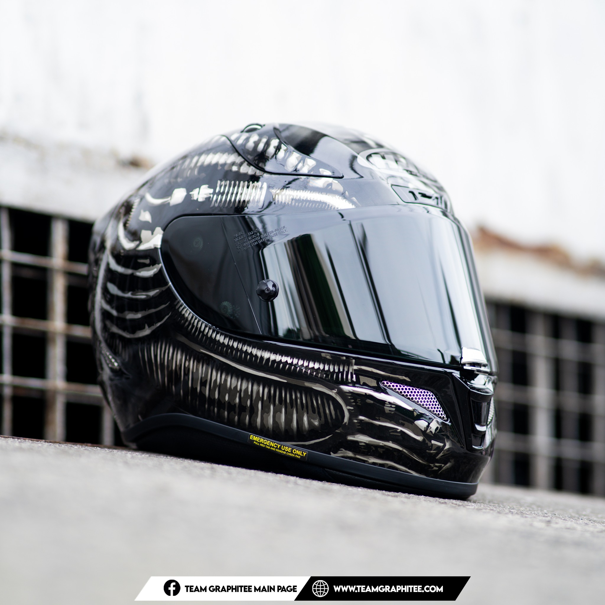 HJC RPHA 11 ALIEN FOX 🔥🔥🔥 Full Face Single Visor With Smoke and
