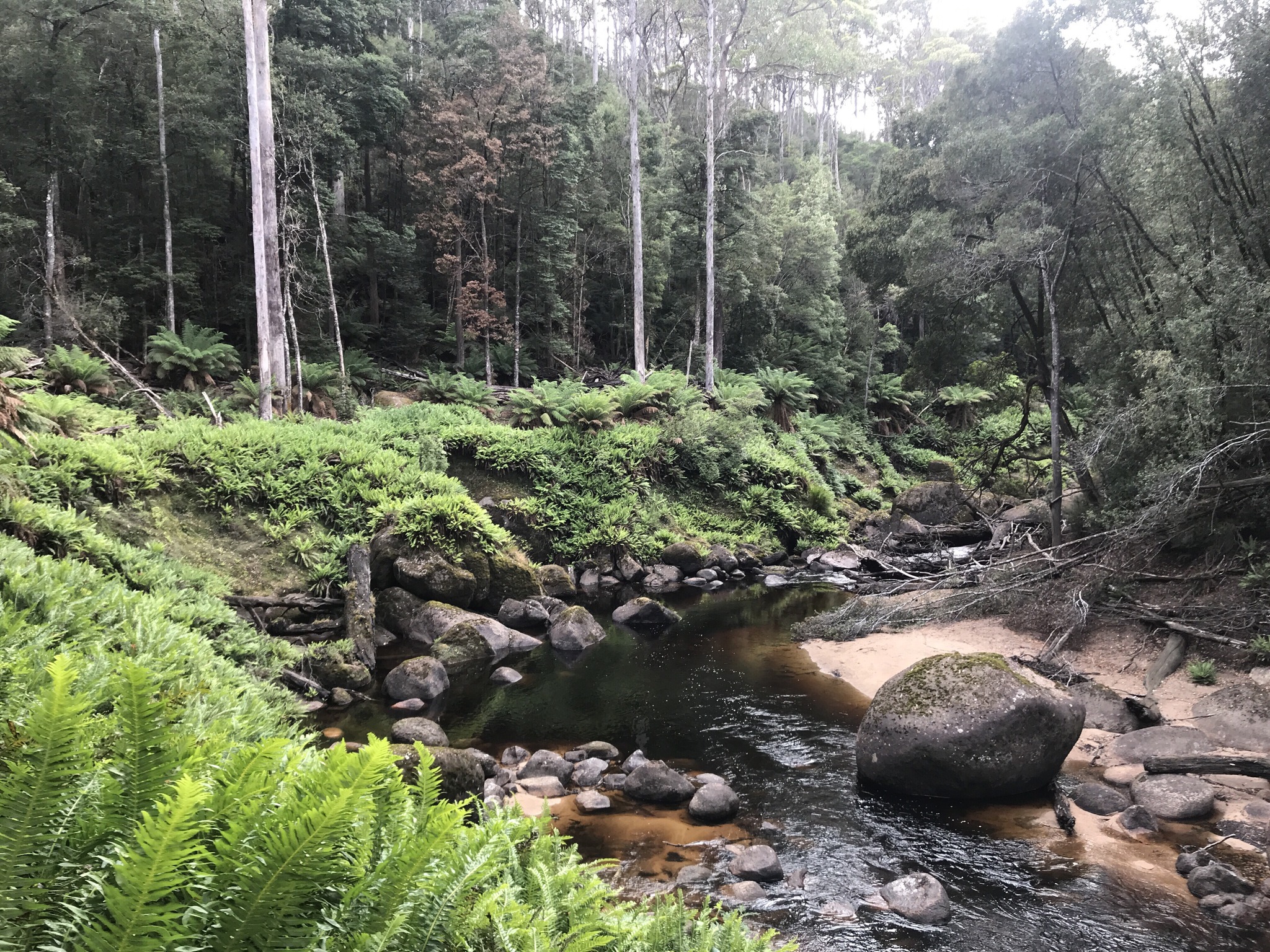 TOGL - Tasmanian Off Grid Living