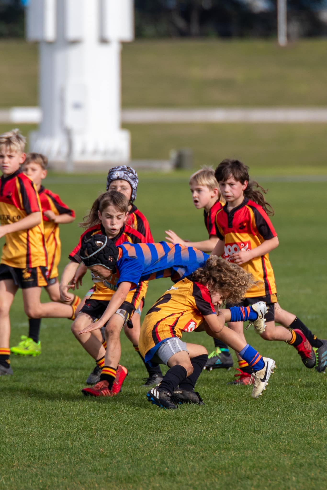 Te Puke Sports Junior Rugby