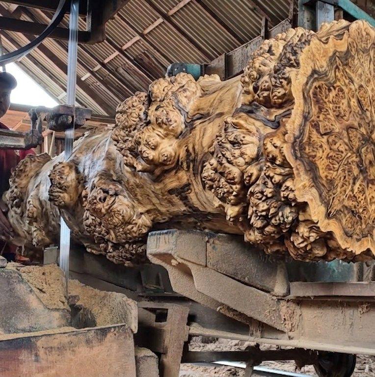 This is a long wood design process for construction materials #sawmill ...