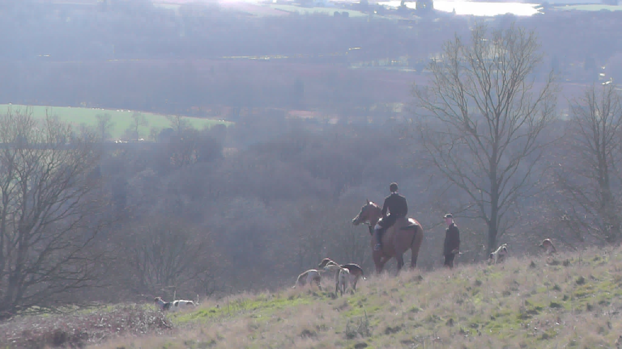 Ledbury, Monday 3rd March... - Three Counties Hunt Saboteurs