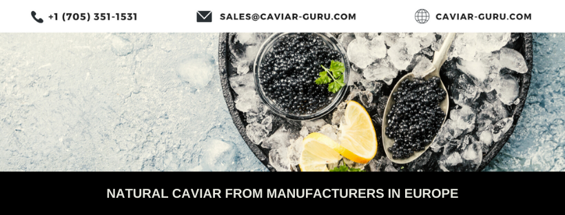 Caviar Guru Europe | Riga