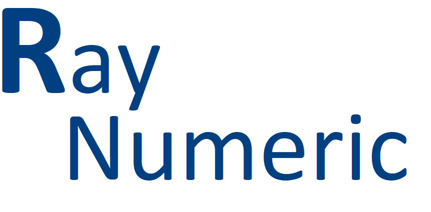 Raynumeric Simulation & Technologies LLP