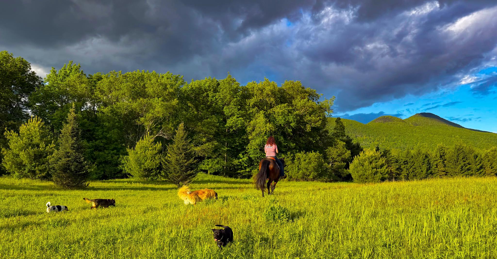 Carpe Diem Rescue & Sanctuary | Pawlet VT