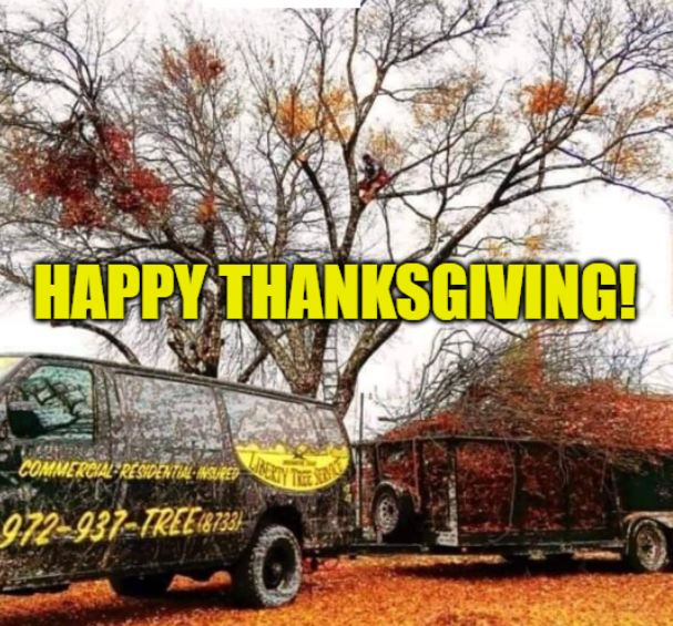 Liberty Tree Service | Waxahachie TX