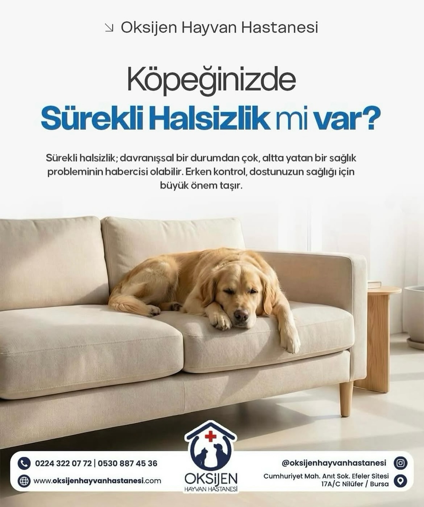 Oksijen Hayvan Hastanesi (@oksijenhayvanhastanesi) • Facebook