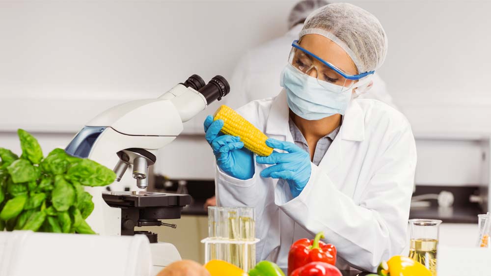 FARE LABS - Food Analysis and Research Laboratory