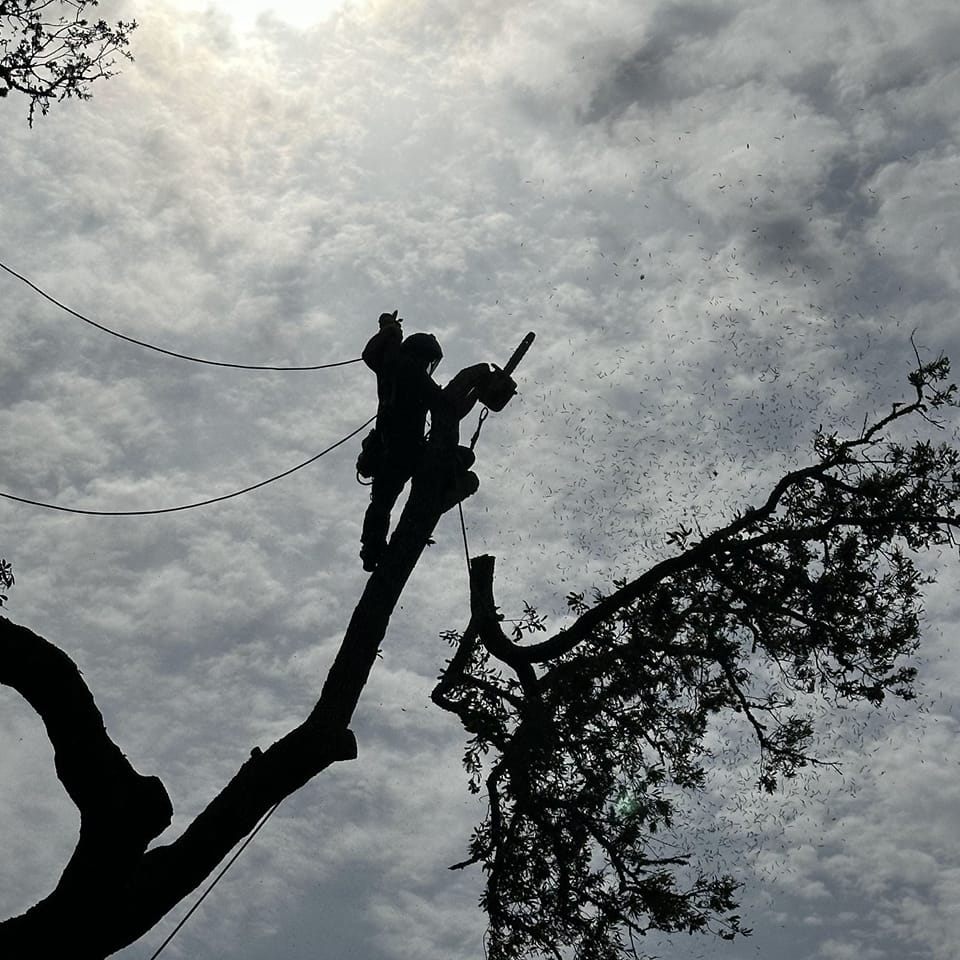 Following an extensive period of restoration efforts, our power and ...