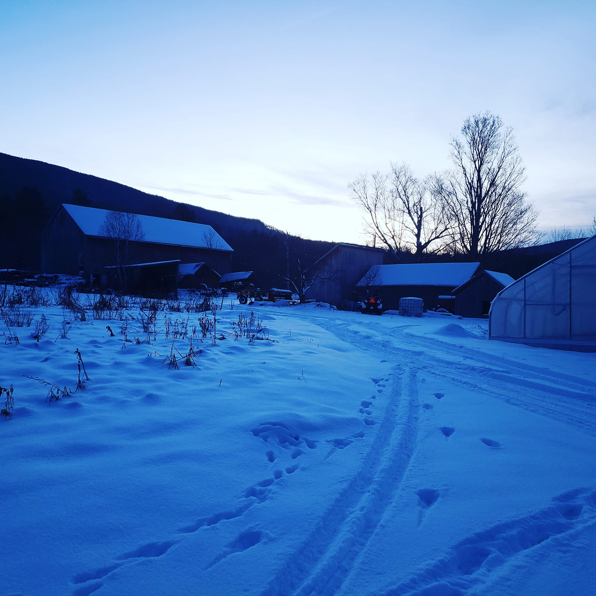 Yoder Farm | Danby VT