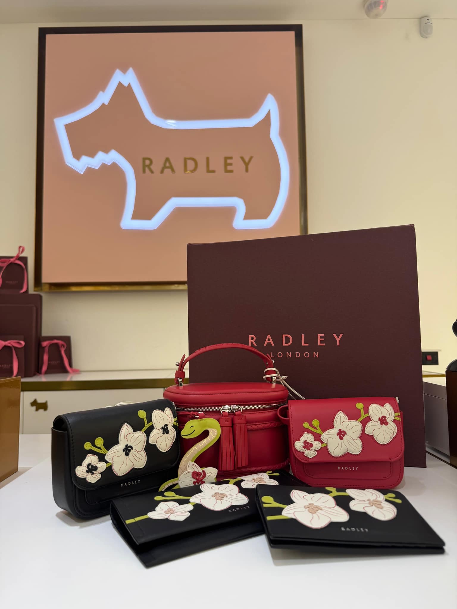 The year of the snake 🐍 Celebrate Lunar New Year with Radley
