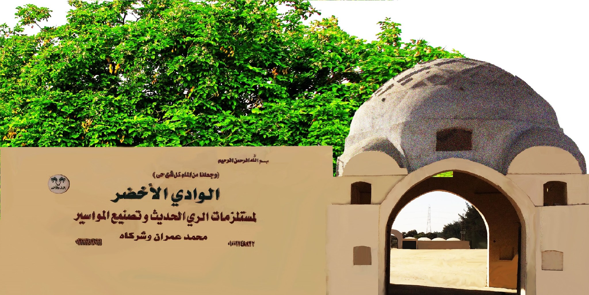 الوادي الأخضر