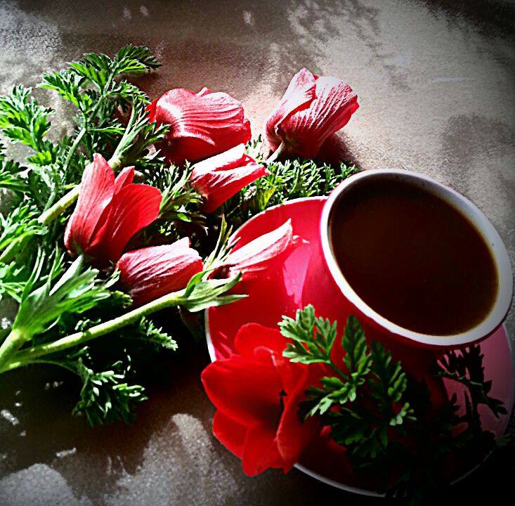 فنجان قهوة بنكهة الورد Photos Facebook
