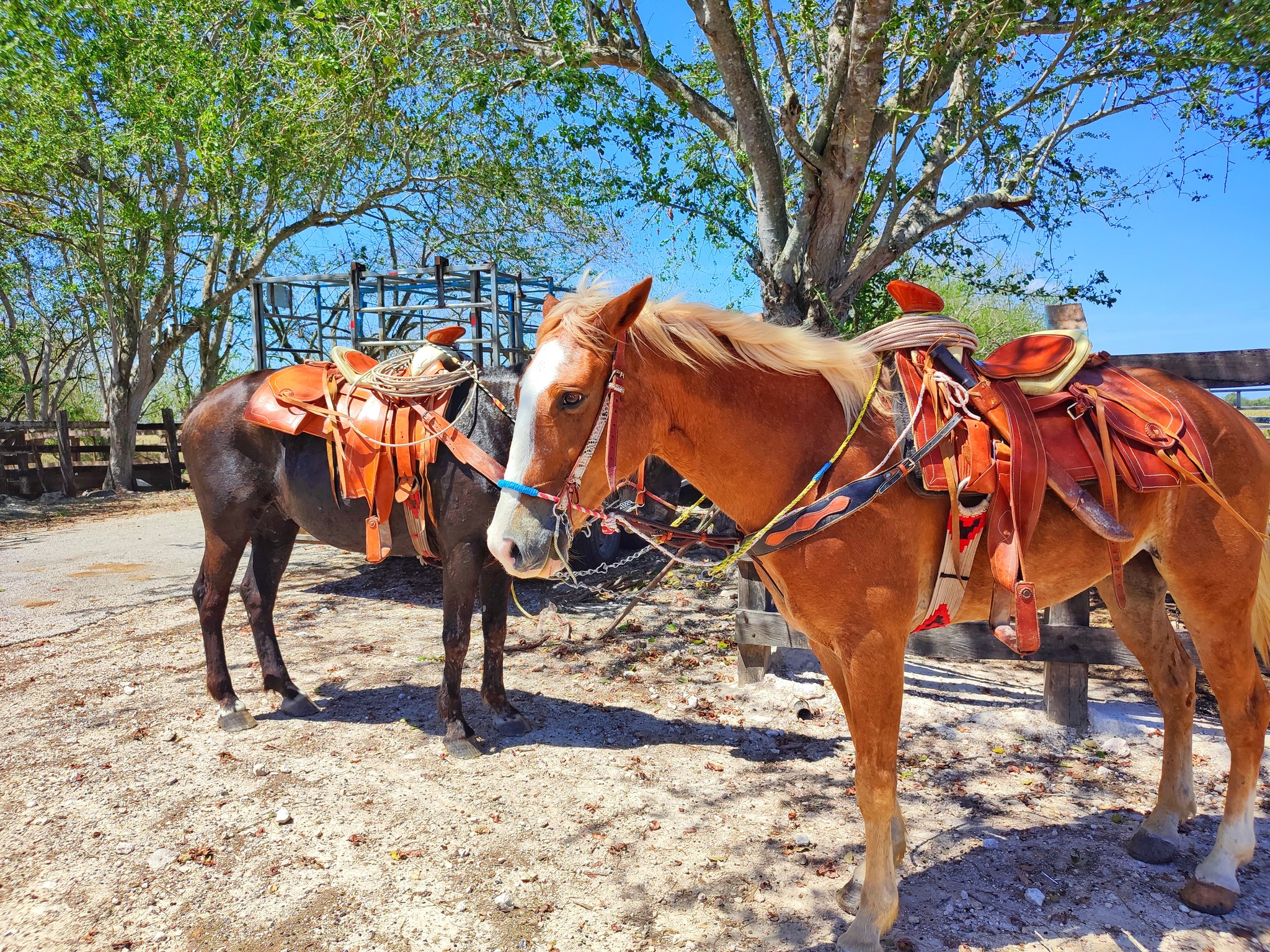 NONO RANCH Adventure