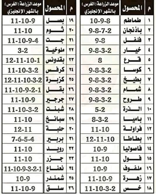 زراعة الاسطح مواعيد زراعة الخضروات Facebook