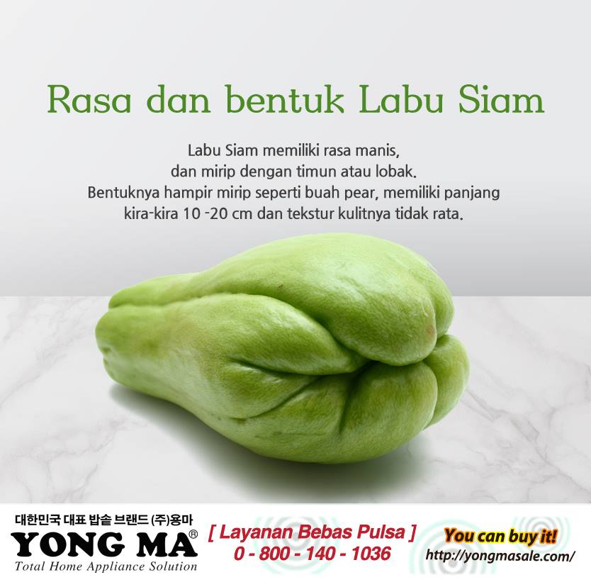 Yong Ma - Rasa dan bentuk Labu Siam Labu Siam memiliki...