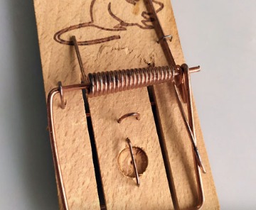 The traditional spring-loaded... - Mousetrap for home | Facebook