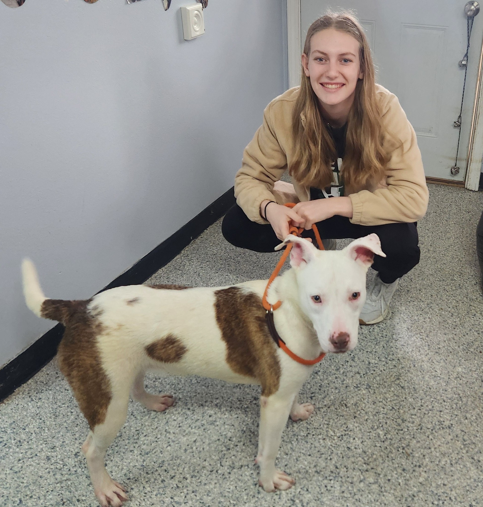 Marion County Humane Society - Knoxville, Iowa | Knoxville IA