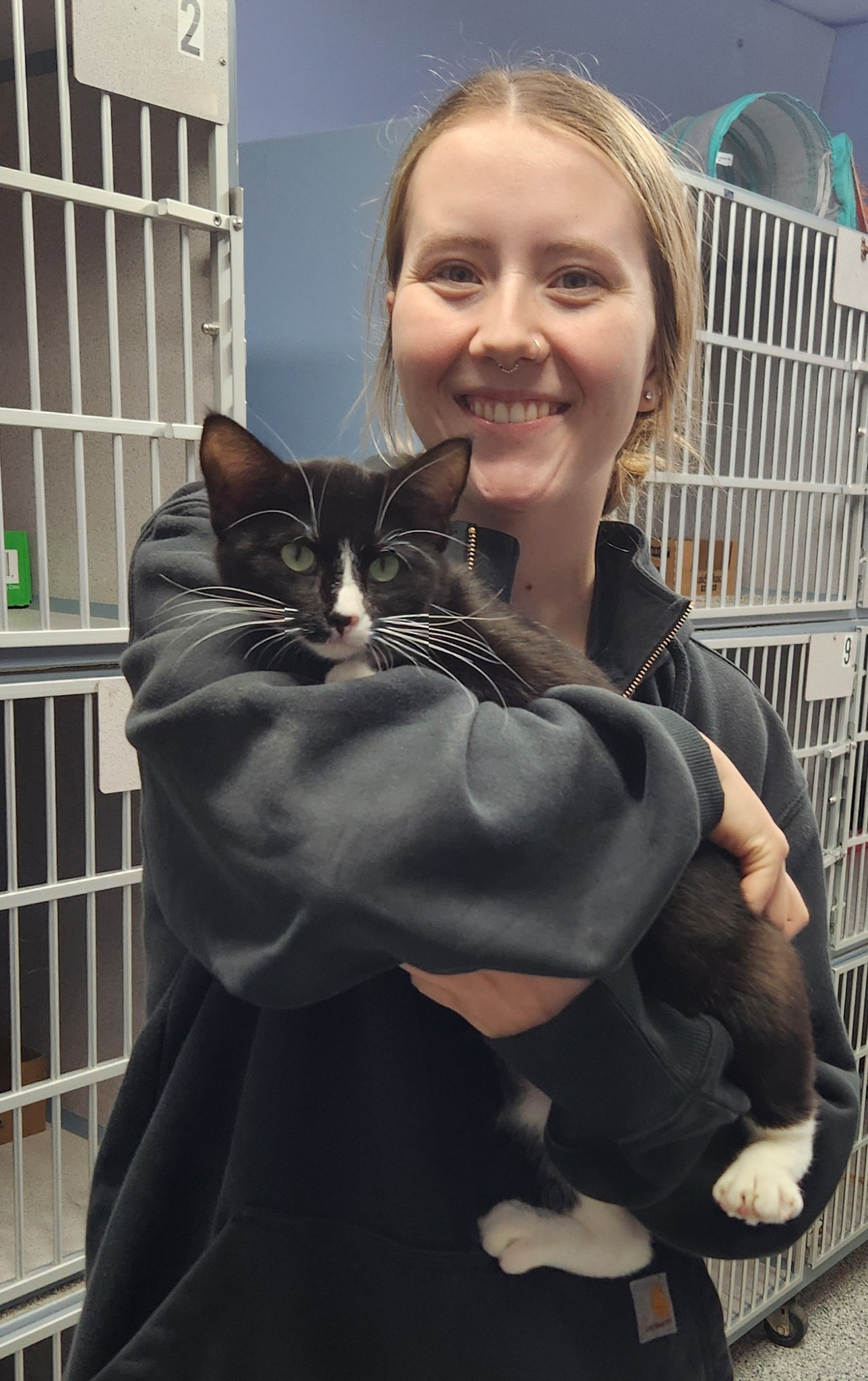 Marion County Humane Society - Knoxville, Iowa | Knoxville IA