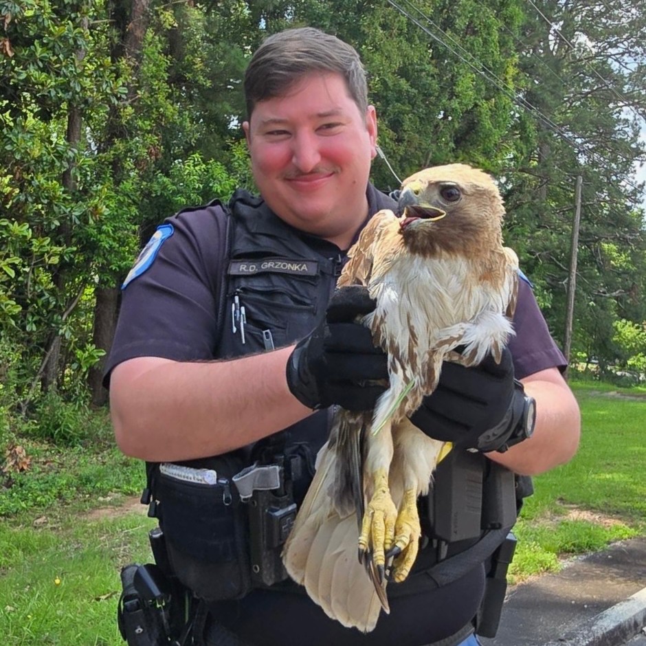 Cobb - 🚨Hawkward moment alert🚨 While patrolling Labelle Elementary ...