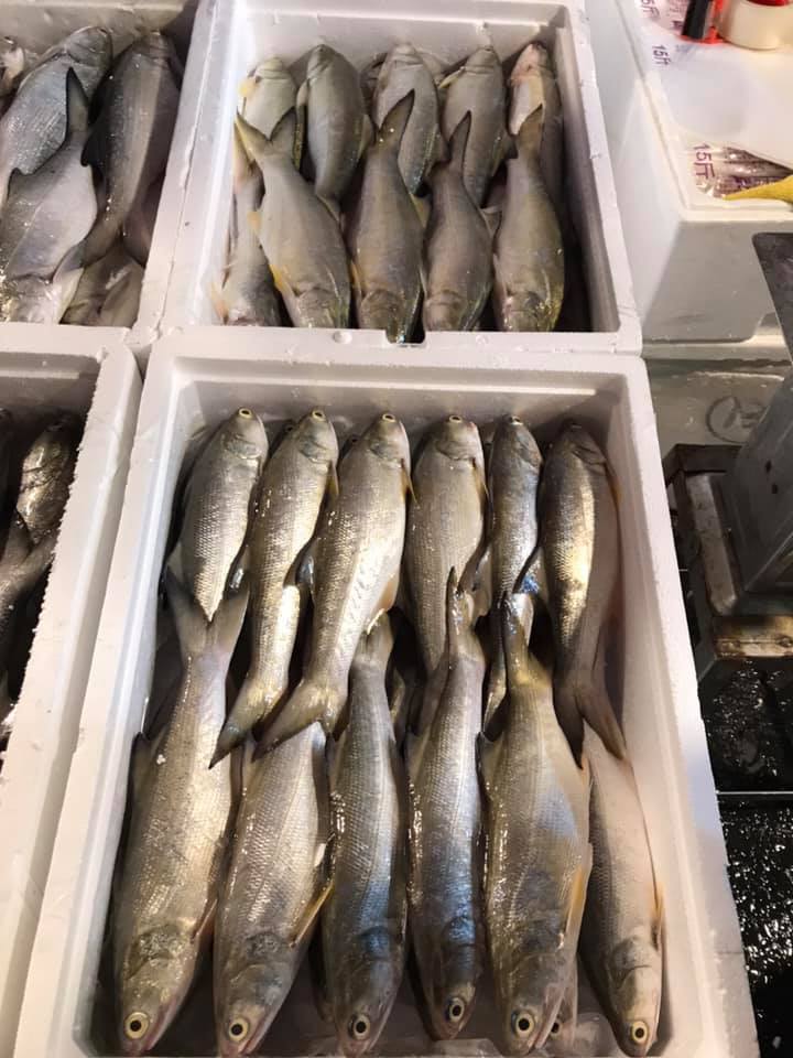 金典美食