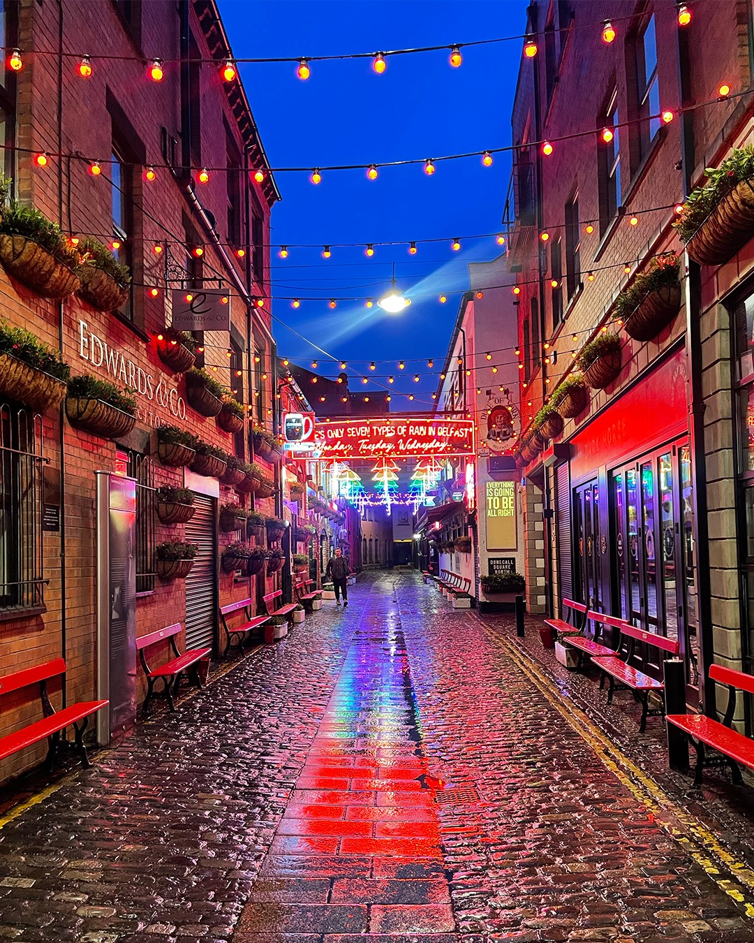 ☂️ They're back! Belfast's famous umbrellas have returned just