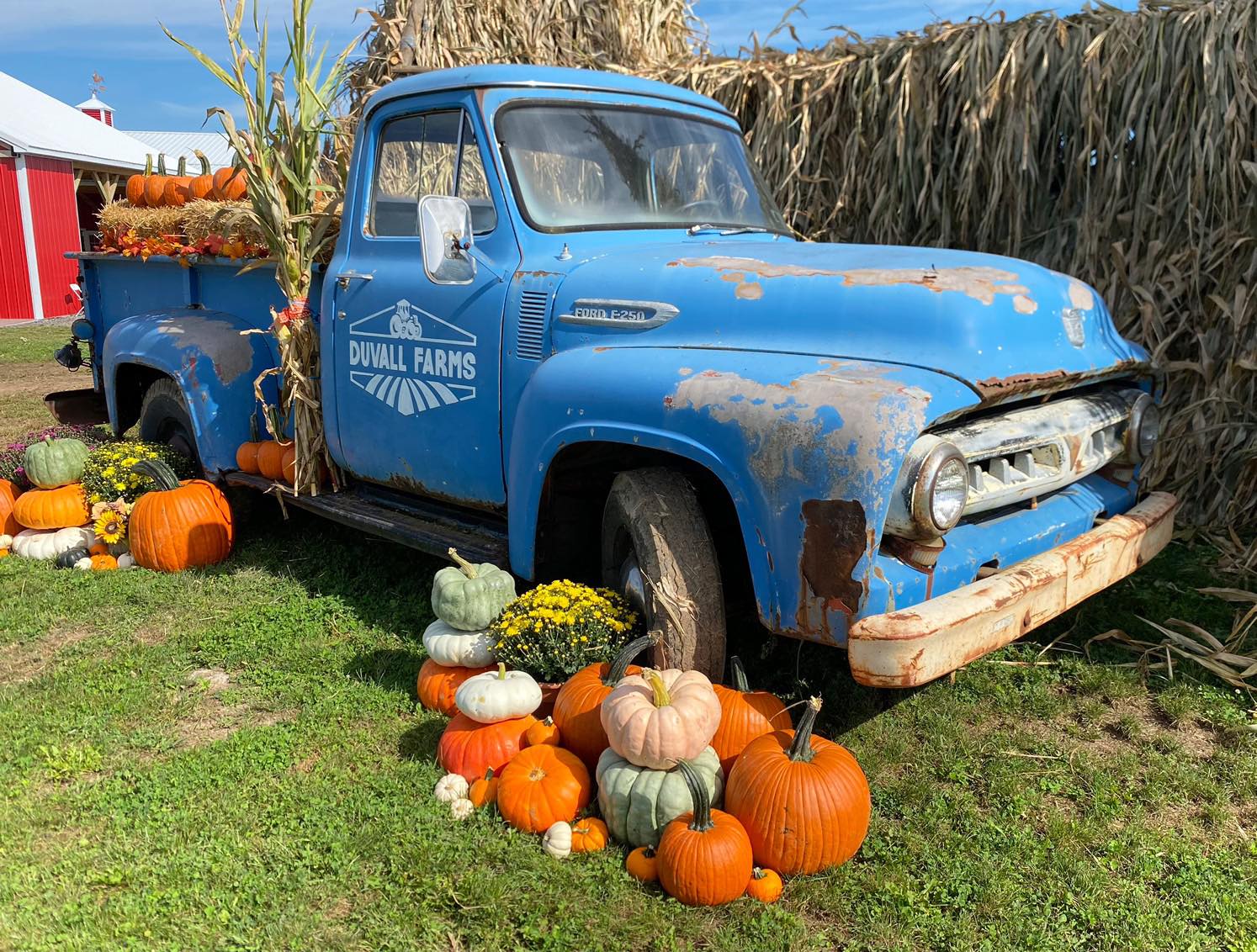 Dine Under the Lights: September Farm... - Blue Barn Cidery | Facebook