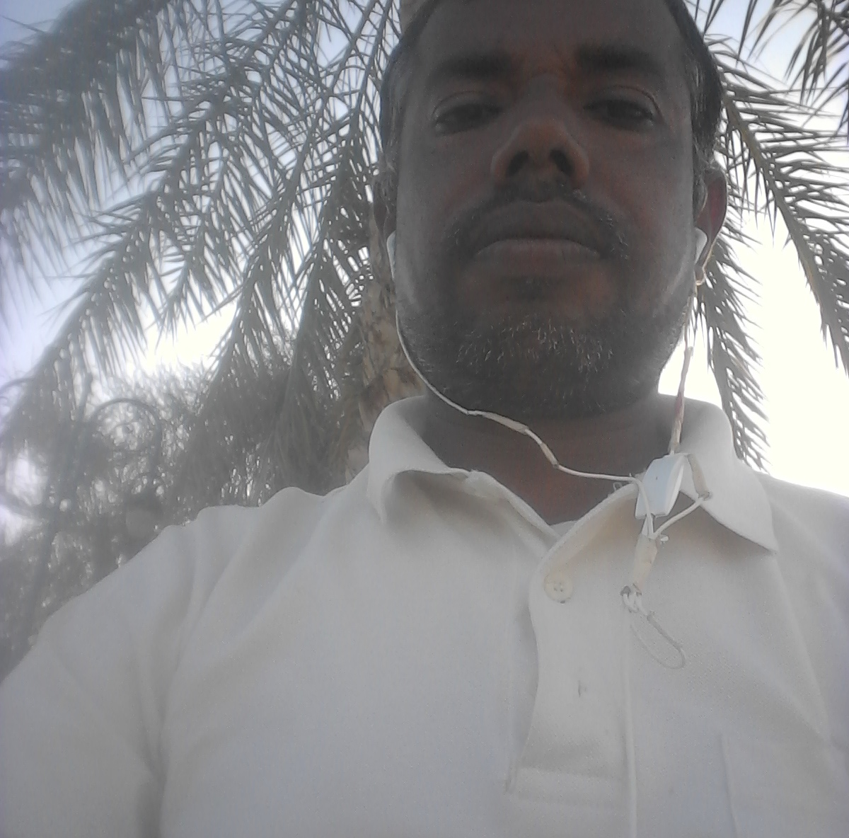 Habeb Haben