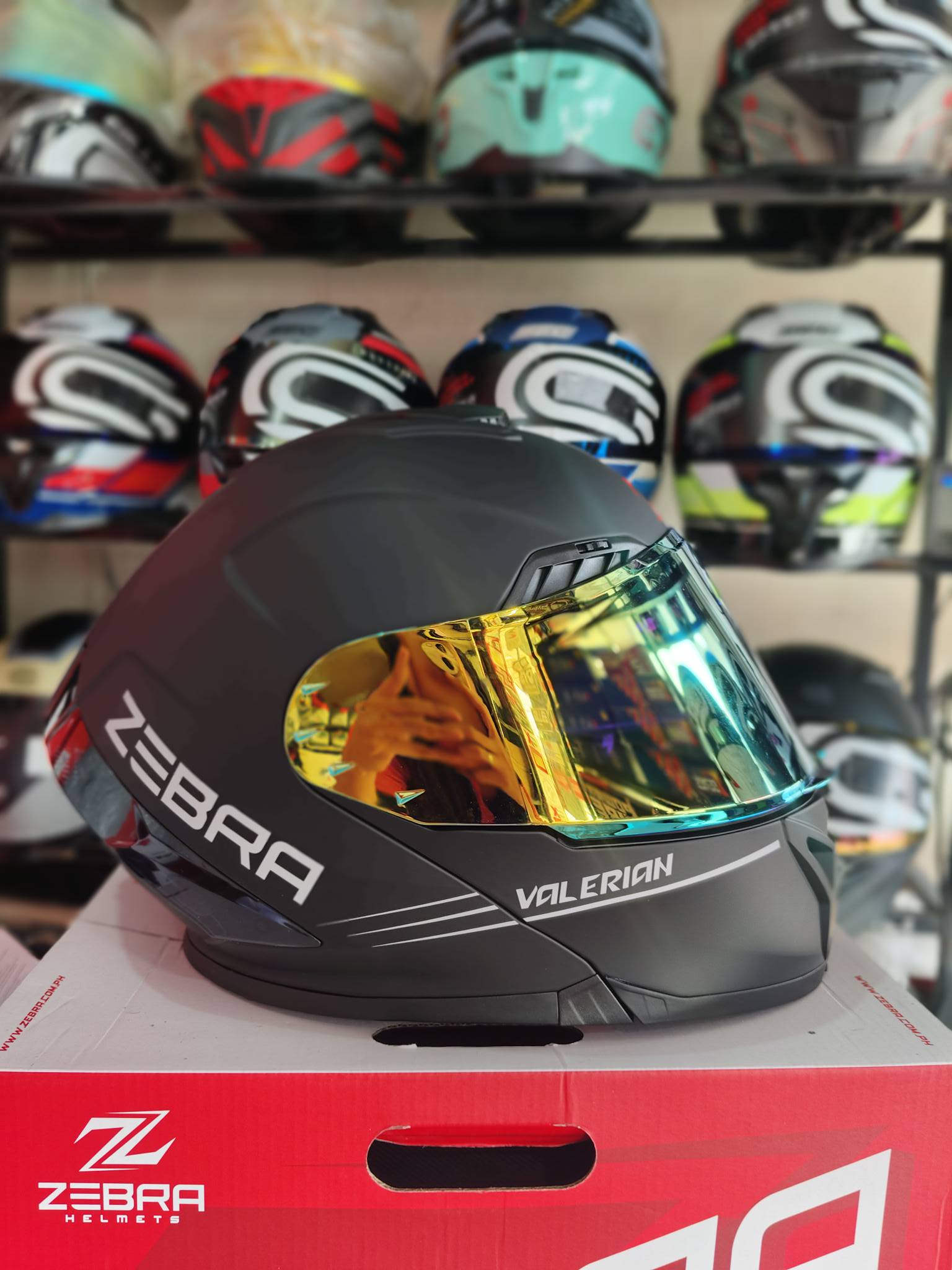Zebra Valerian Modular Helmet in Porac