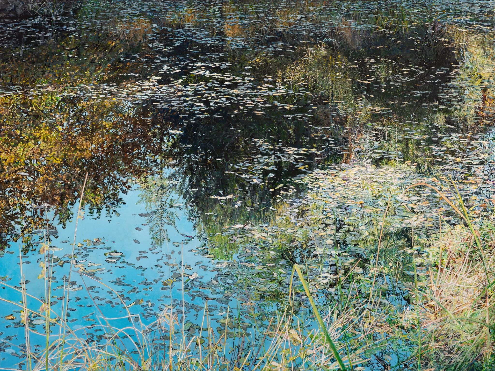 Salt Spring National Art Prize - Join The Victoria Arts Council's ...