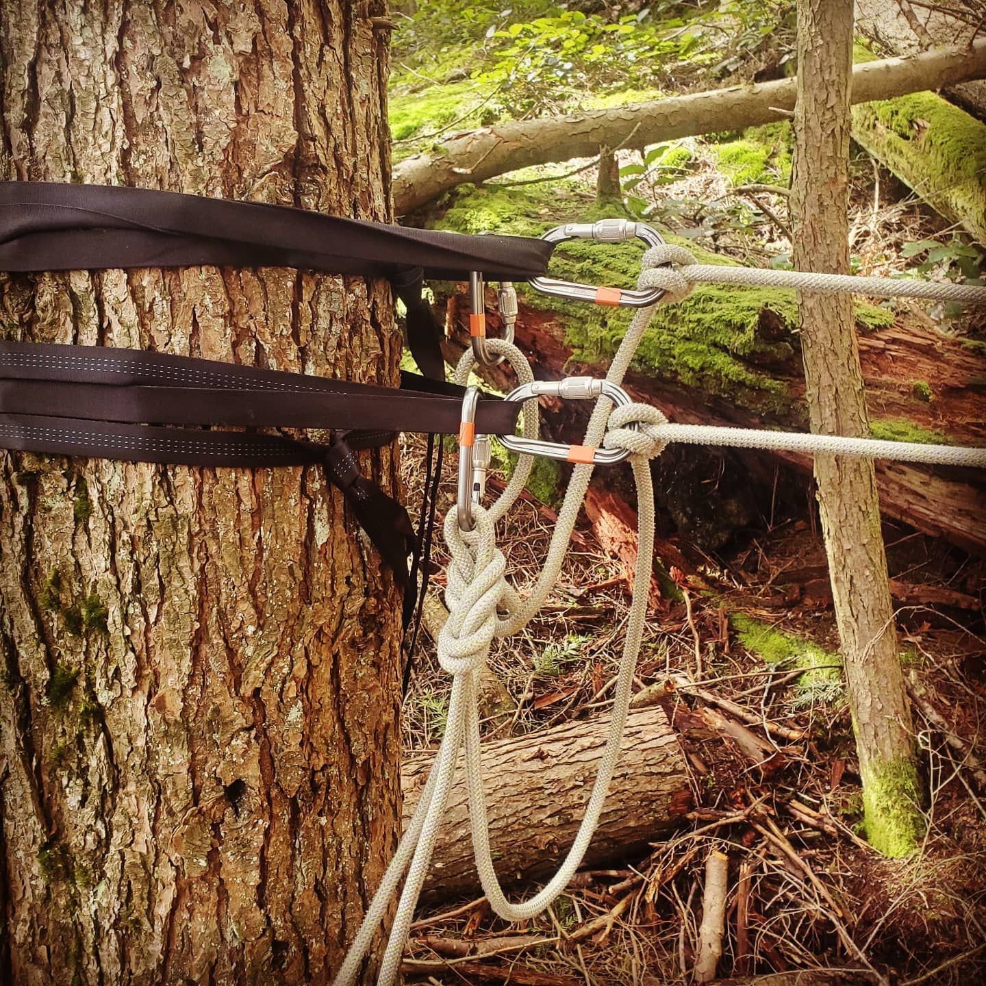 Spanned Anchors - What do you... - Vital Rescue Solutions | Facebook