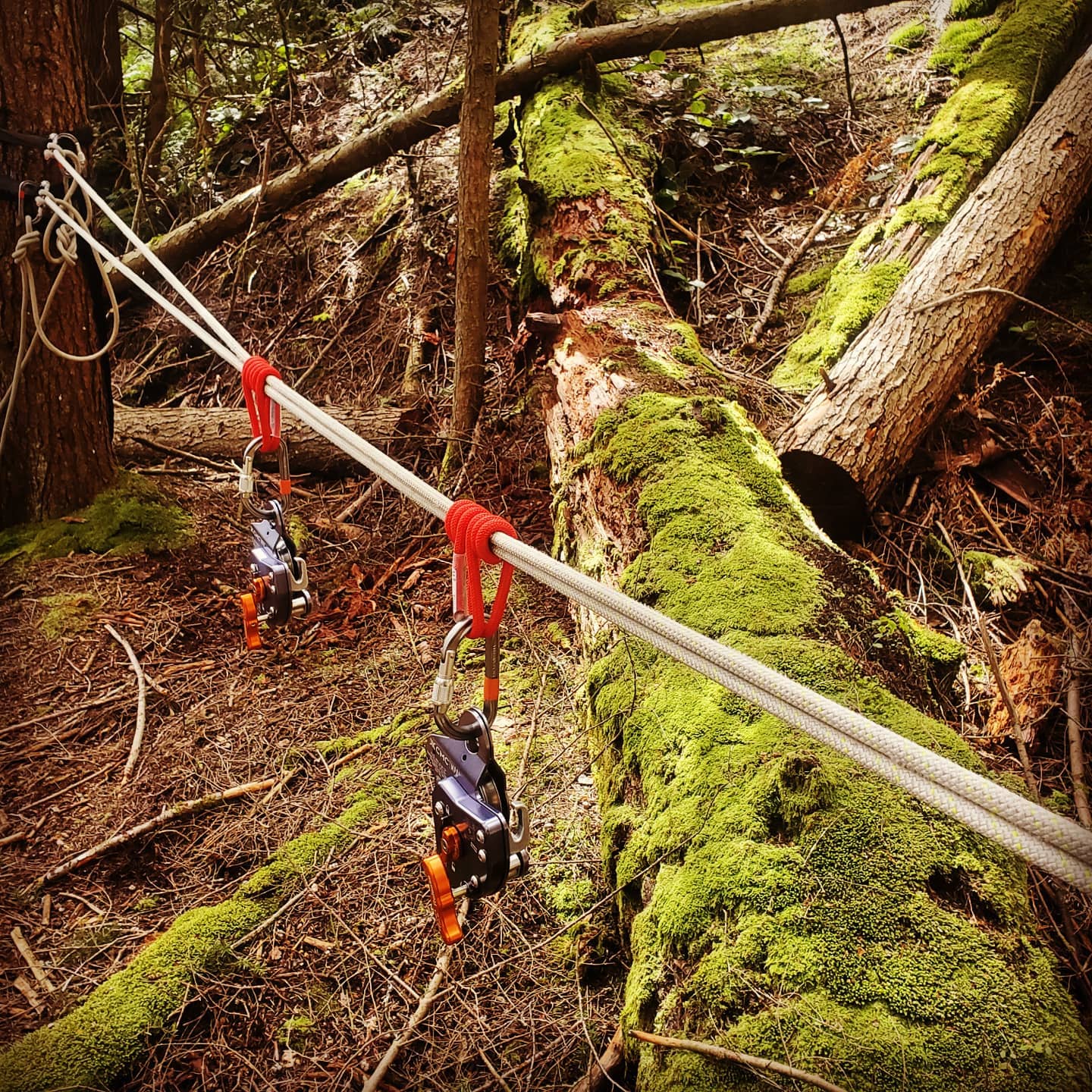 Spanned Anchors - What do you... - Vital Rescue Solutions | Facebook
